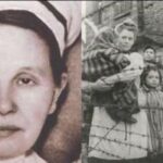 La storia di Stanisława Leszczyńska, l’ostetrica che ad Auschwitz fece nascere 3.000 bimbi